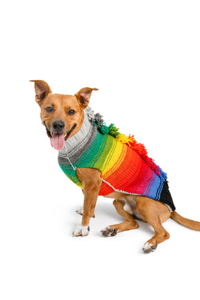 Chilly Dog - Dog Sweater Rainbow Mohawk