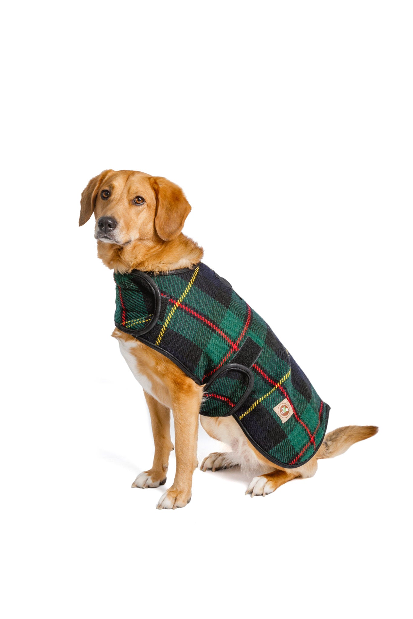 Chilly Dog - Dog Blanket Coat Navy Tartan - Southern Agriculture 