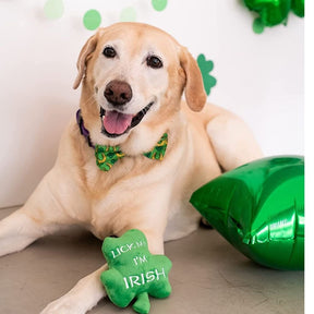 Huxley & Kent - Lulubelles Power Plush Lick Me Shamrock Plush Dog Toy - Southern Agriculture 