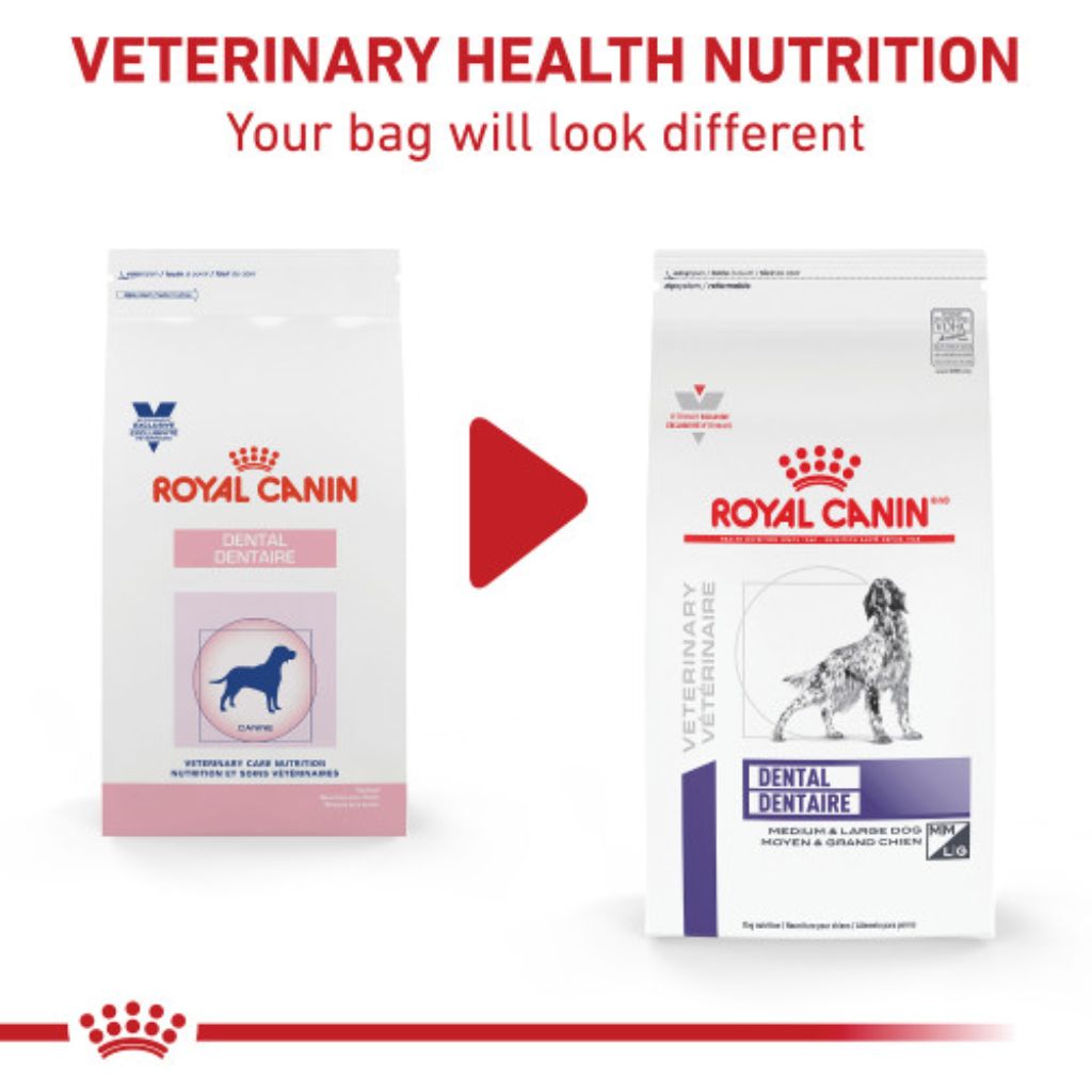 Royal Canin Veterinarian Diet - Dental Medium and Large Dog Dry Food - Southern Agriculture 