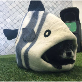 Dharma Dog Karma Cat - Pet Cave Fish
