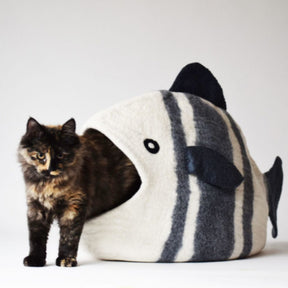 Dharma Dog Karma Cat - Pet Cave Fish