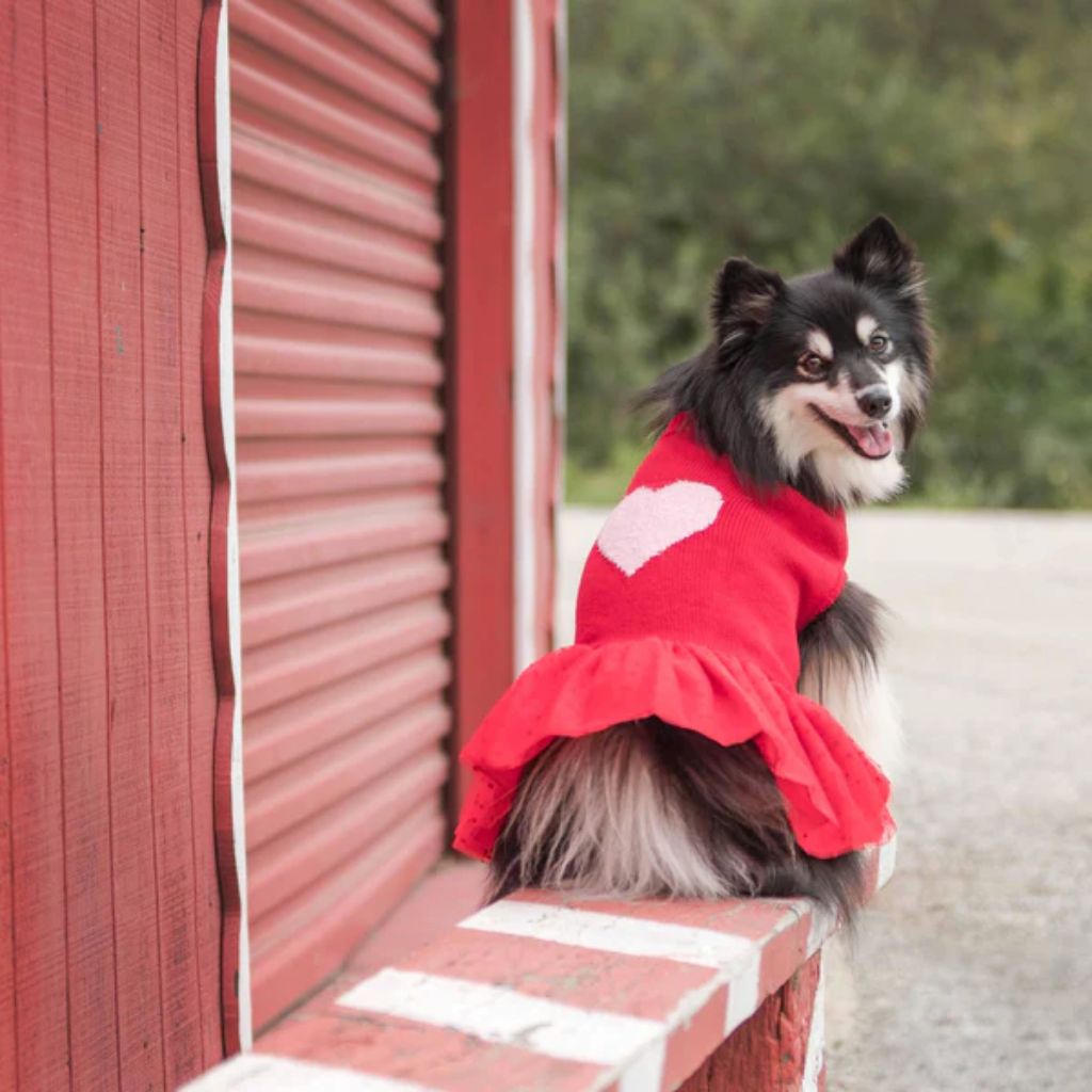 Blueberry Pet - Red with Pink Heart | For Love of Pets Dog Sweater