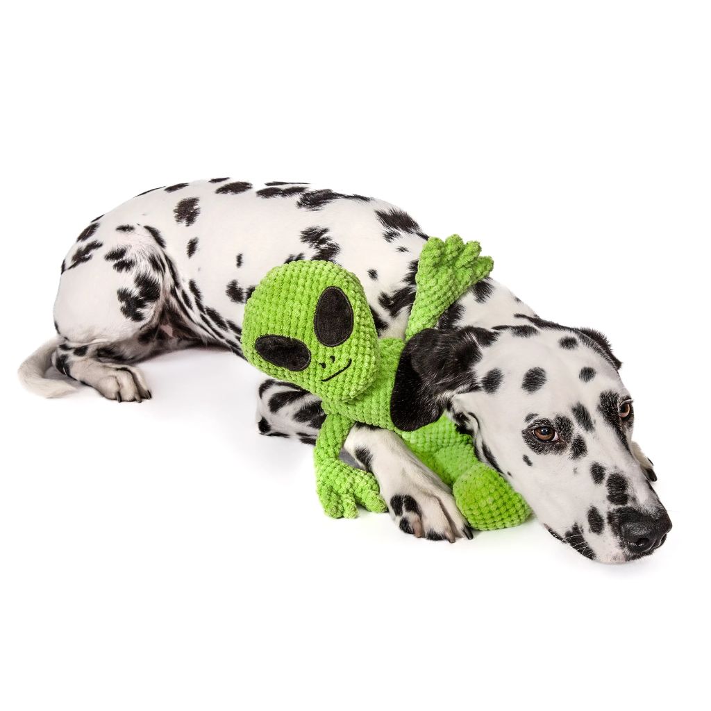Fabdog Floppy Alien Plush Dog Toy - Southern Agriculture 