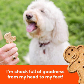 Buddy Biscuits - Original Oven Baked Peanut Butter Recipe Dog Treats - Southern Agriculture 