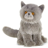 Bearington Collection - Gordie the Grey Persian Cat - Southern Agriculture 
