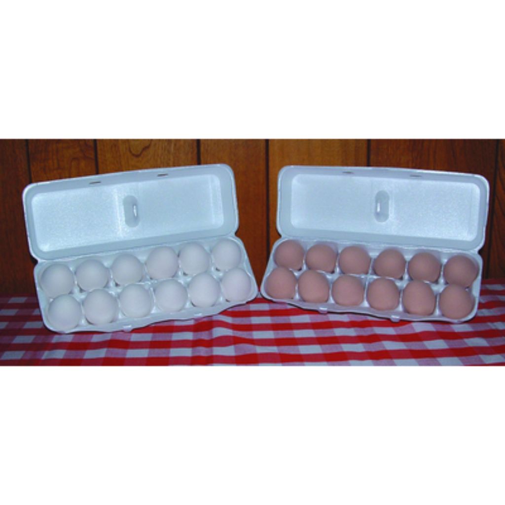 K & K Vet Products - Egg Ceramic - 6 Eggs