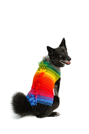 Chilly Dog - Dog Sweater Rainbow Mohawk