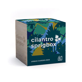 Sprigbox - Cilantro Grow Kit - Southern Agriculture 