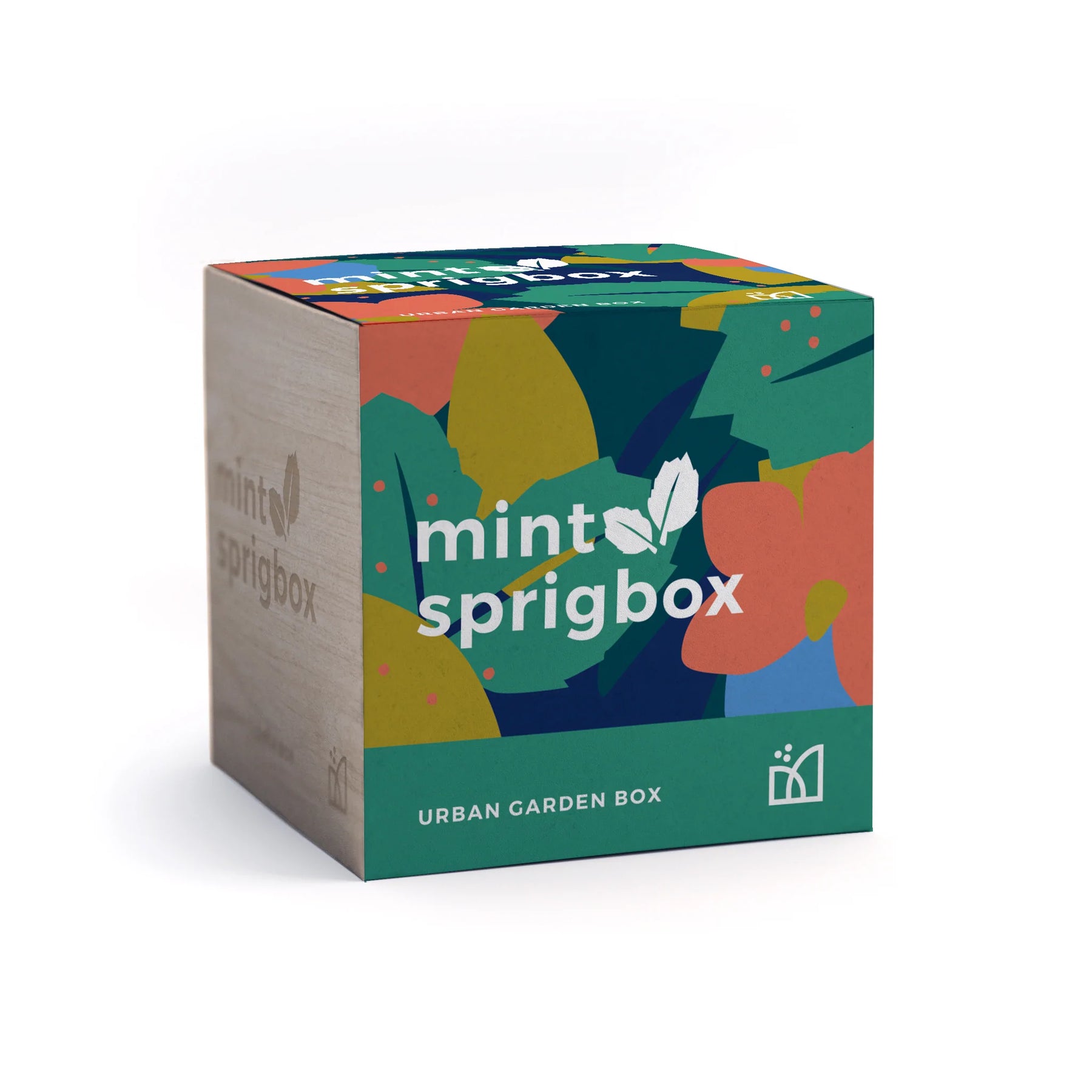 Sprigbox - Mint Grow Kit - Southern Agriculture 