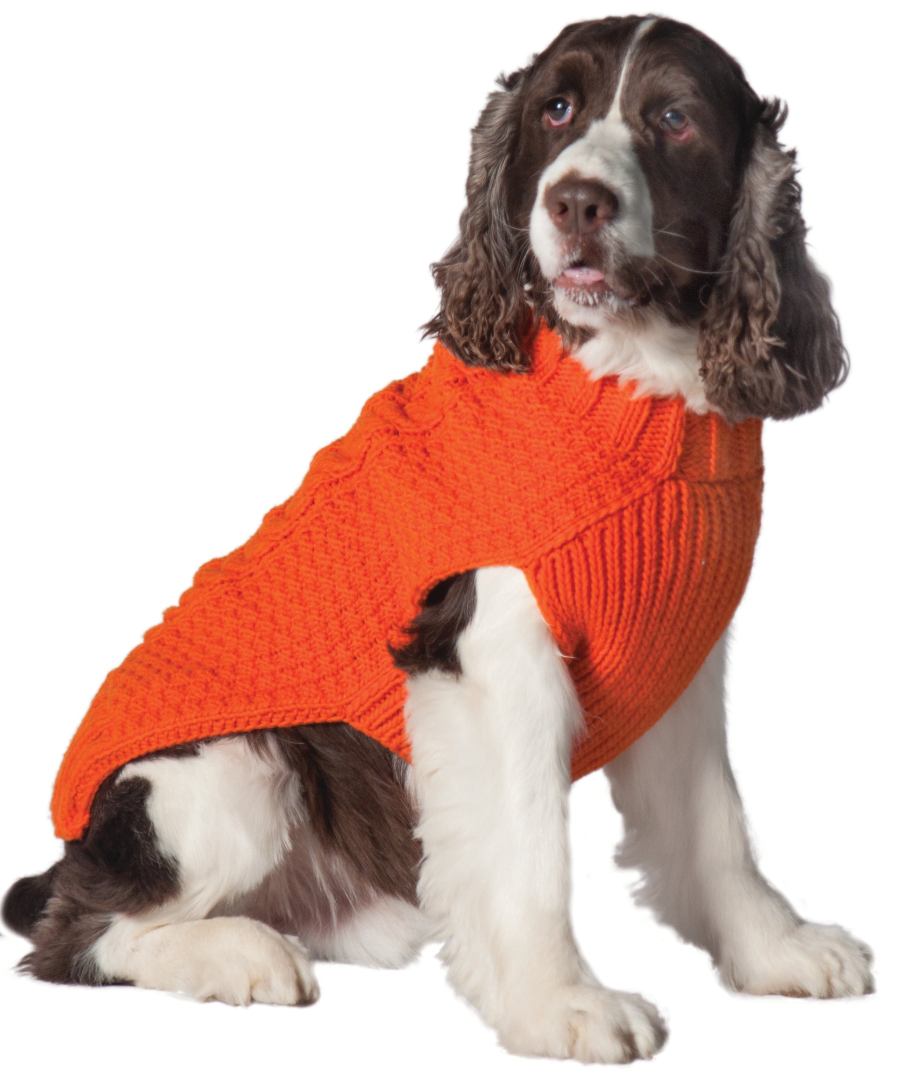 Chilly Dog - Orange Cable Knit Sweater