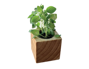 Sprigbox - Oregano Grow Kit - Southern Agriculture 