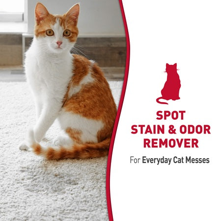 Just for Cats Stain & Remover Spray - Southern Agriculture 
