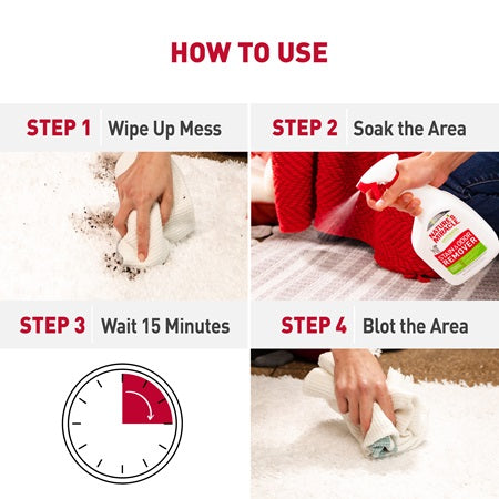 Just for Cats Stain & Remover Spray - Southern Agriculture 