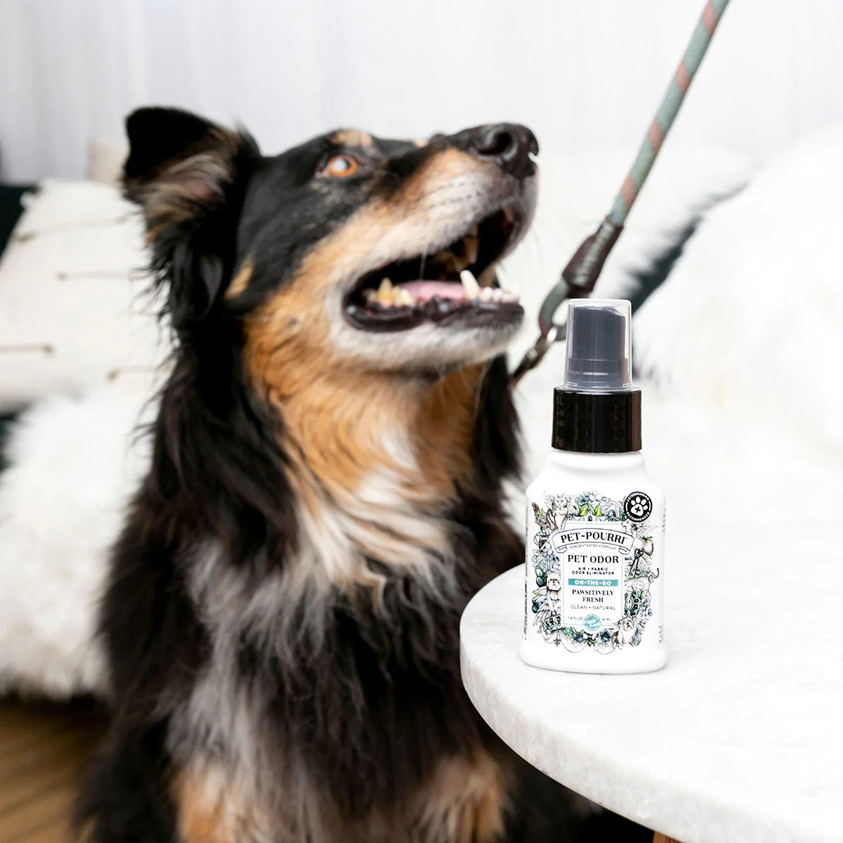 Home-Pourri Pawsitively Fresh - Southern Agriculture 