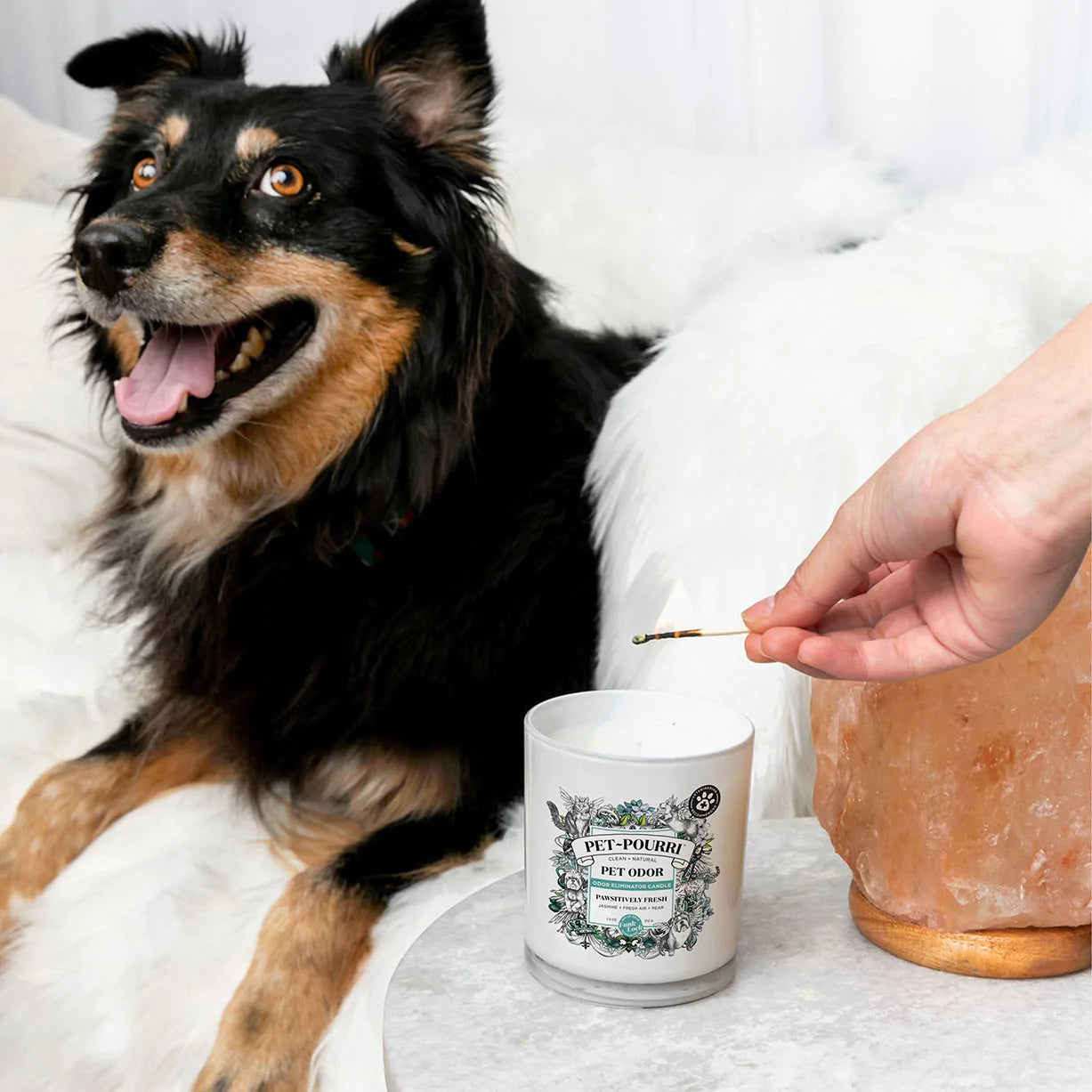 Poo-Pourri Candle Pawsitively Fresh - Southern Agriculture 
