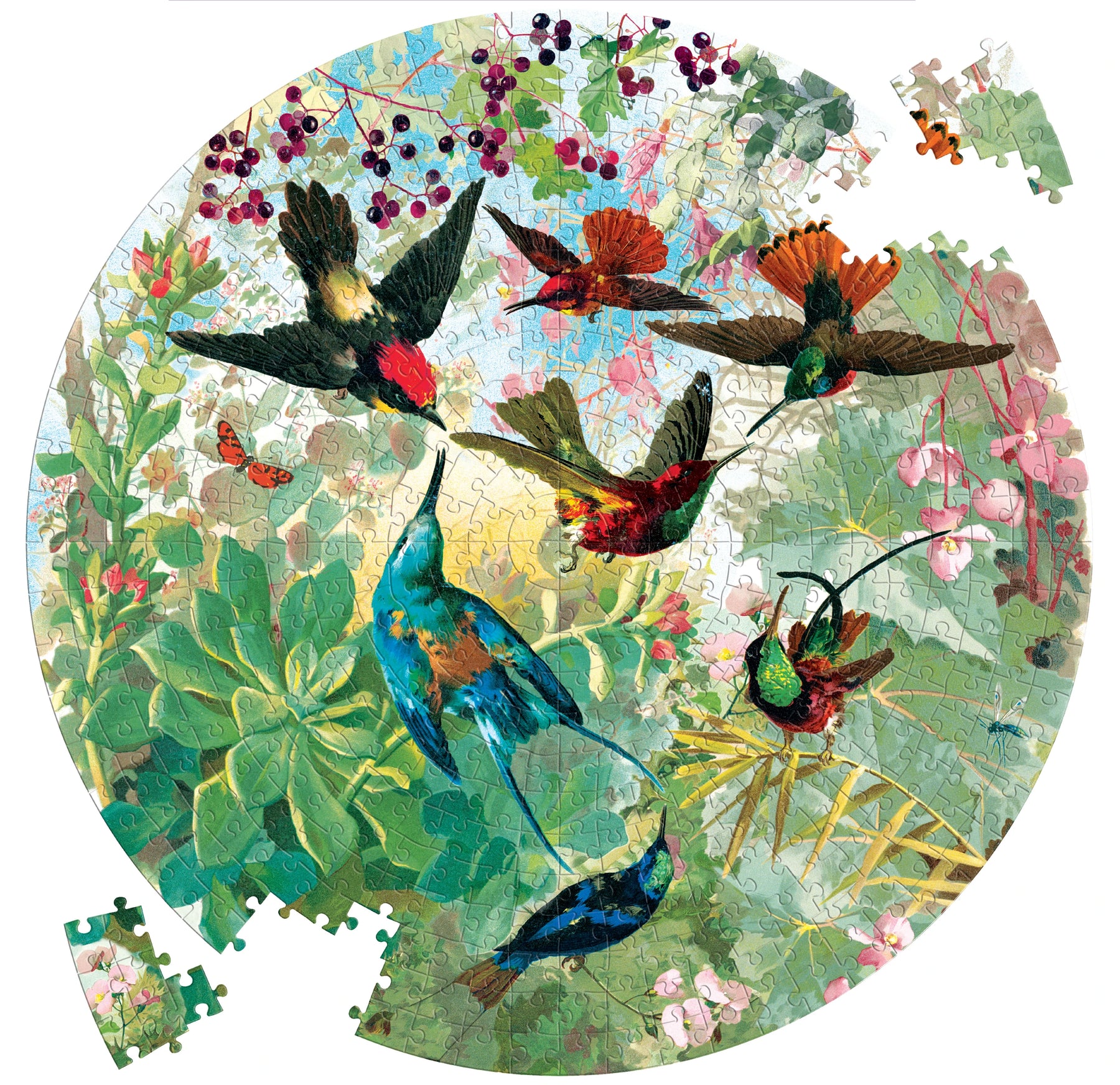 eeBoo - Hummingbirds 500 Piece Puzzle