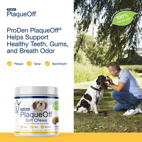 NaturVet - Copy of PlaqueOff Soft Chews For Small & Medium Breed Dogs - Southern Agriculture 