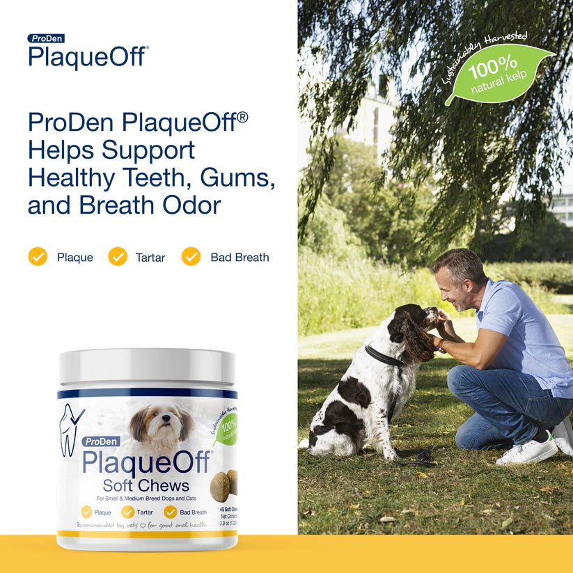 NaturVet - Copy of PlaqueOff Soft Chews For Small & Medium Breed Dogs - Southern Agriculture 
