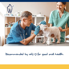 NaturVet - Copy of PlaqueOff Soft Chews For Small & Medium Breed Dogs - Southern Agriculture 