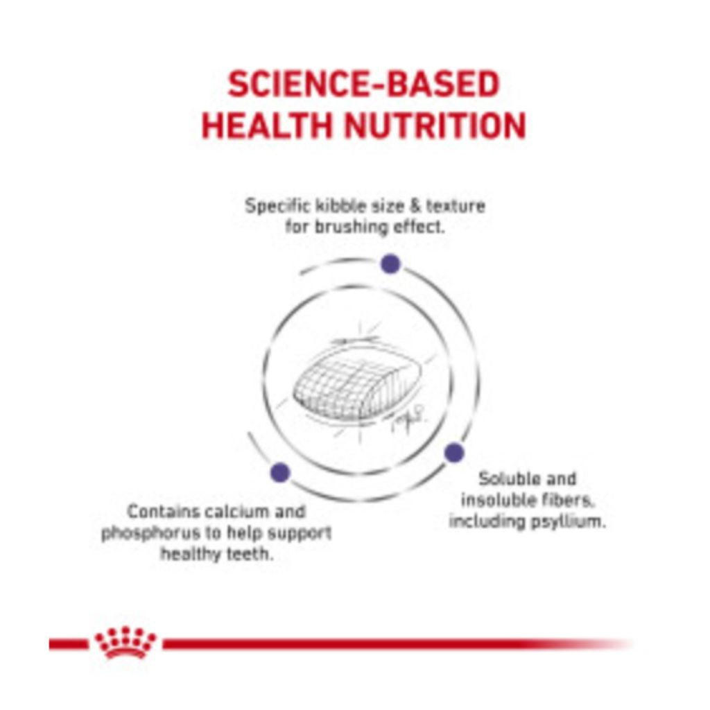 Royal Canin Veterinary Diet - Dental Cat Dry Food