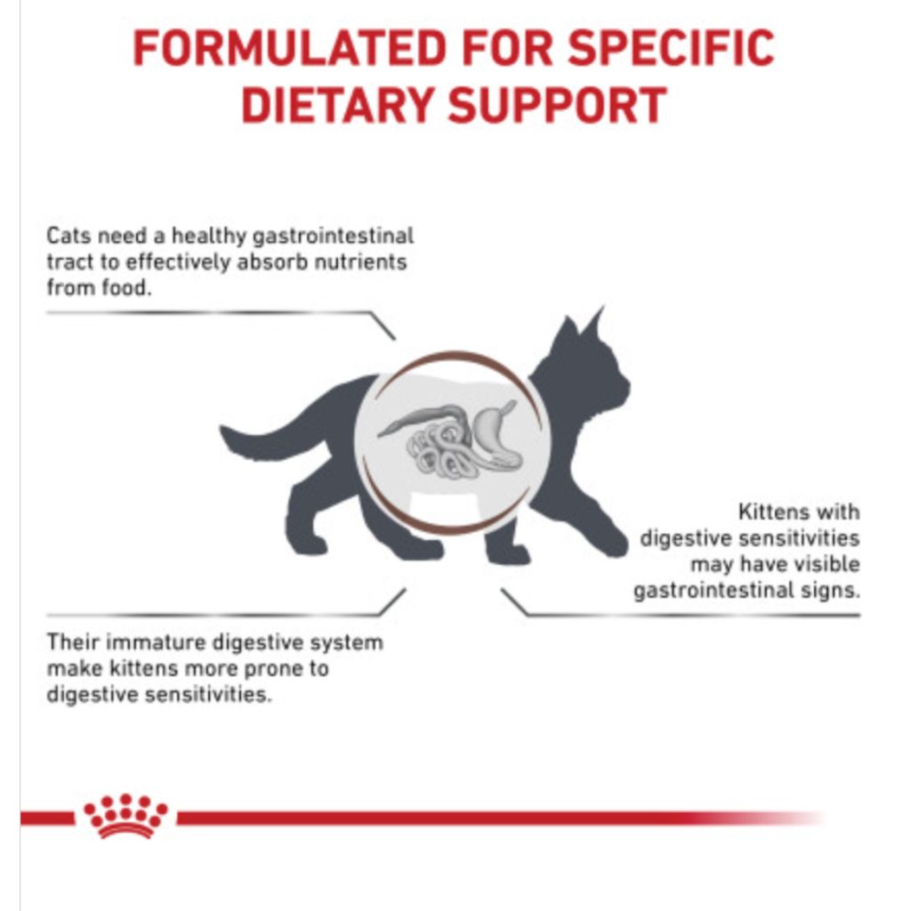 Royal Canin Veterinarian Diet - Gastrointestinal Kitten Dry - Southern Agriculture 