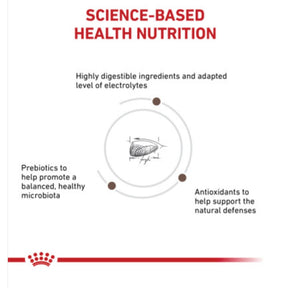 Royal Canin Veterinarian Diet - Gastrointestinal Kitten Dry - Southern Agriculture 