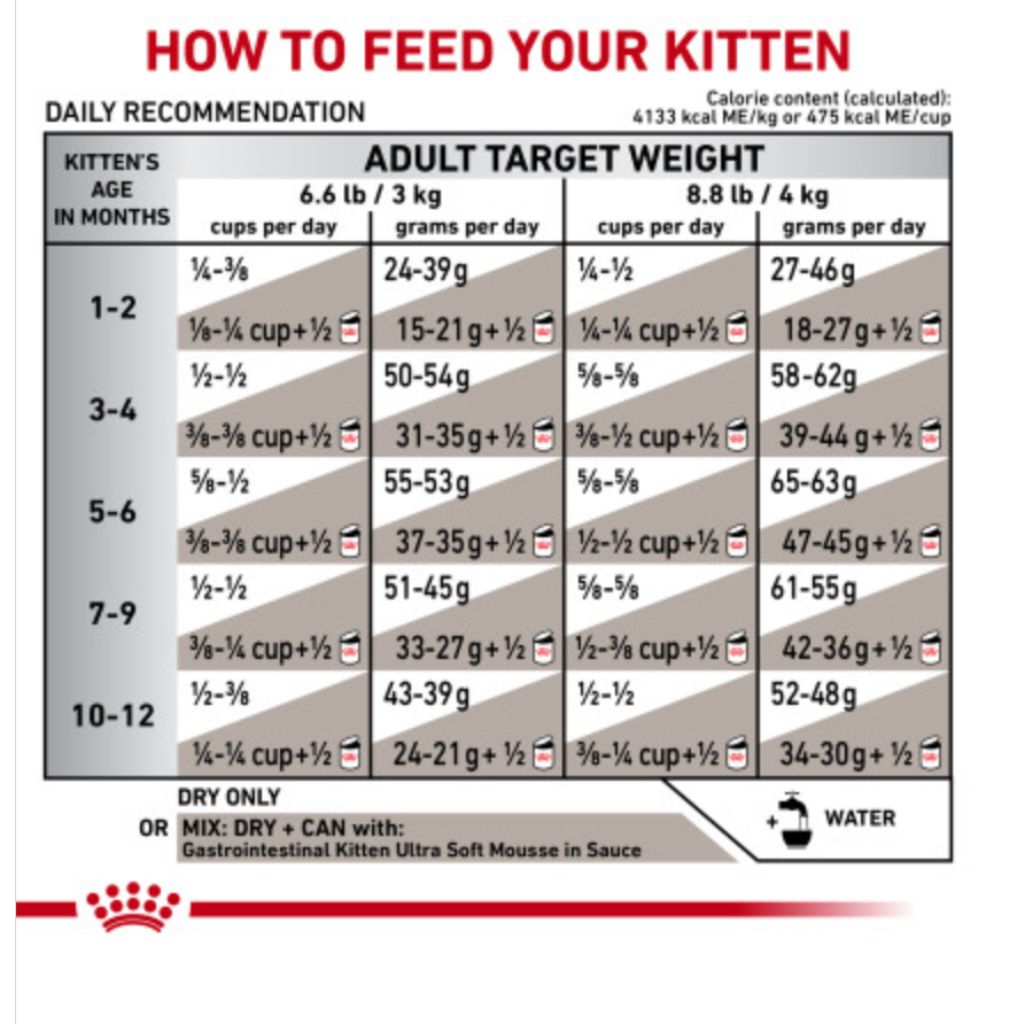 Royal Canin Veterinarian Diet - Gastrointestinal Kitten Dry - Southern Agriculture 