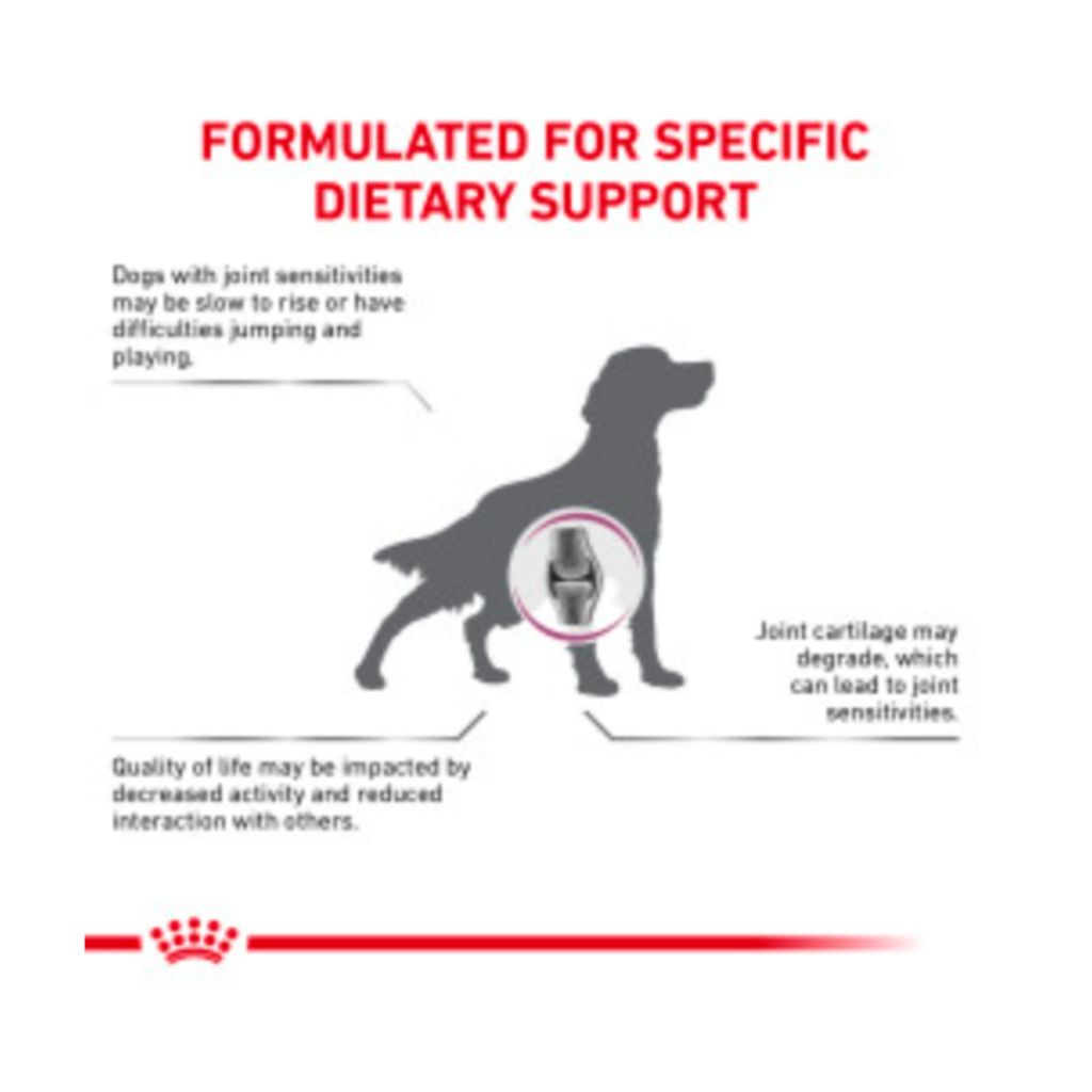 Royal Canin Veterinary Diet - Advanced Mobility Dog Food - Southern Agriculture 