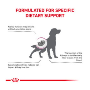Royal Canin Veterinary Diet - Renal Support Early Consult Dry Dog - Southern Agriculture 