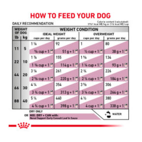 Royal Canin Veterinary Diet - Renal Support Early Consult Dry Dog - Southern Agriculture 