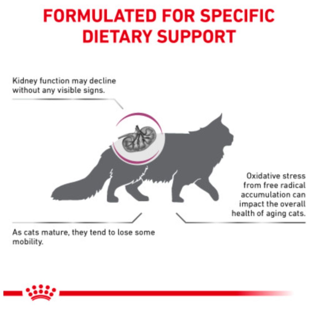 Royal Canin Veterinary Diet - Renal Support Early Consult Dry Cat Food - Southern Agriculture 