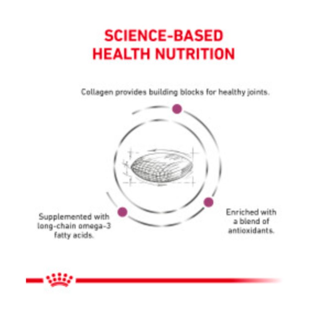 Royal Canin Veterinary Diet - Advanced Mobility Dog Food - Southern Agriculture 