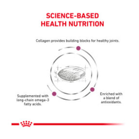 Royal Canin Veterinary Diet - Advanced Mobility Dog Food - Southern Agriculture 
