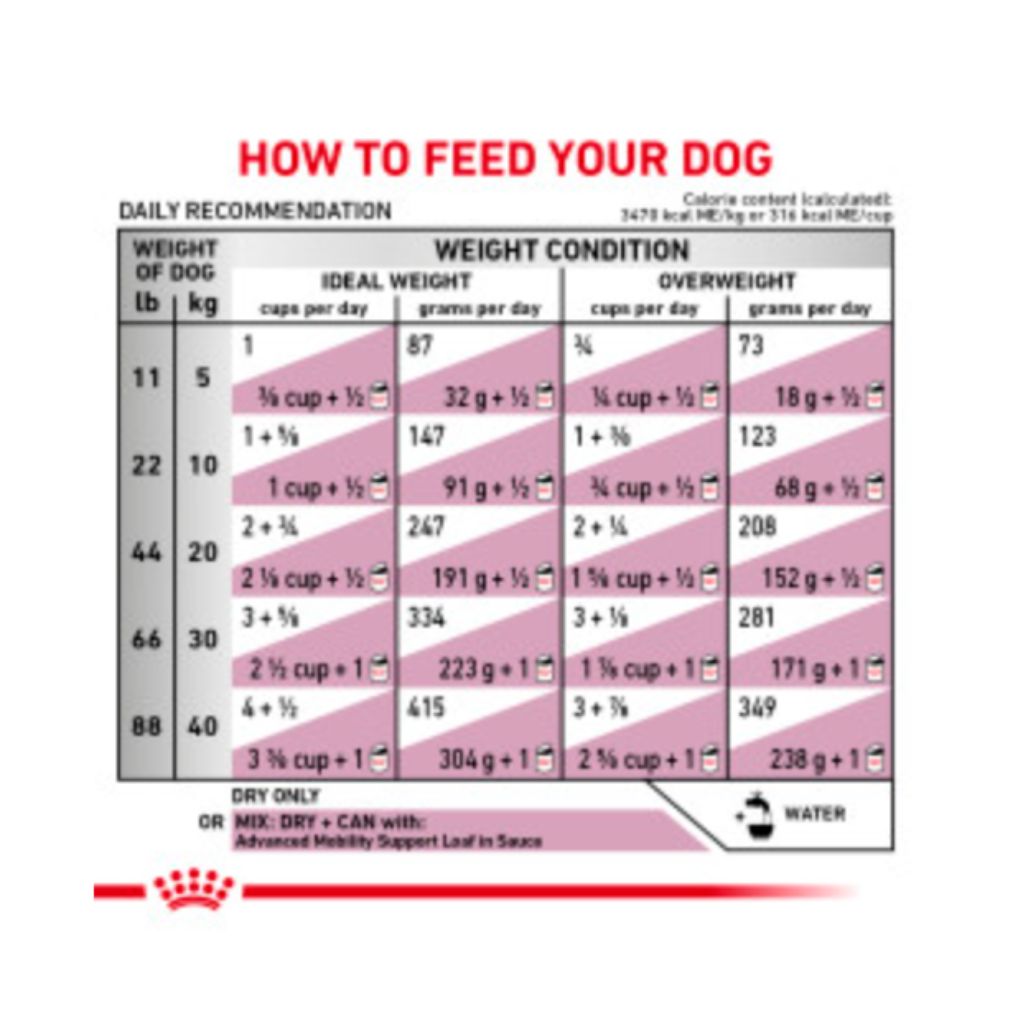 Royal Canin Veterinary Diet - Advanced Mobility Dog Food - Southern Agriculture 