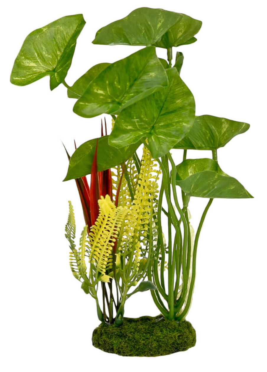 Blue Ribbon - Alocasia Variegated Cluster Ornament