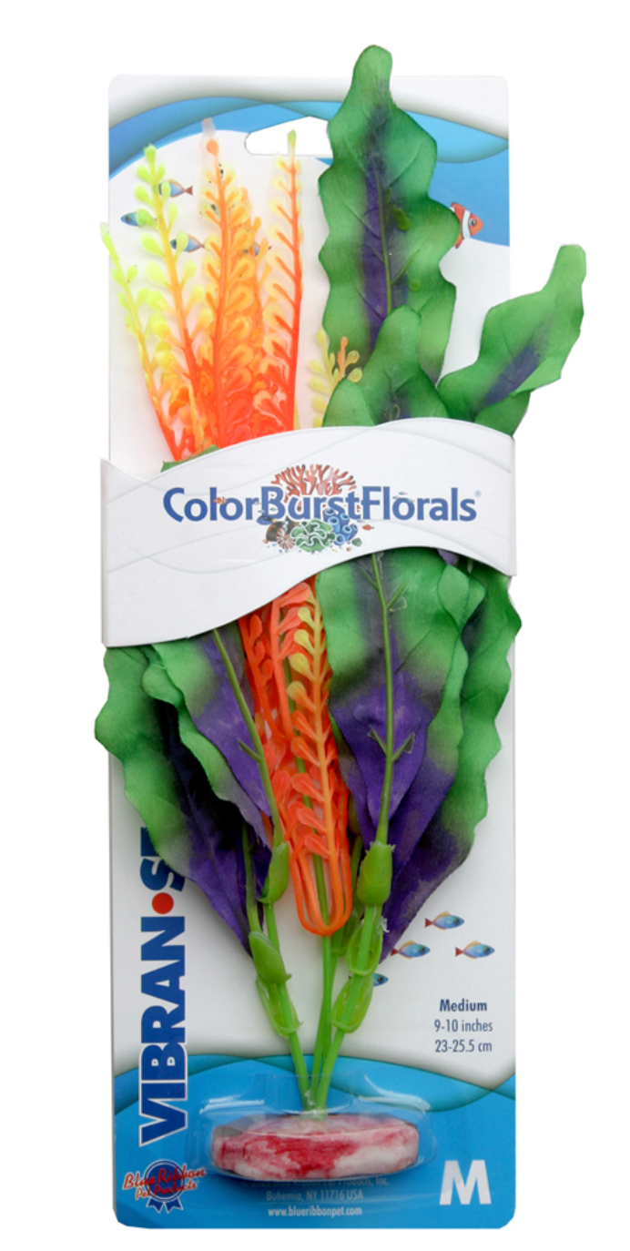 Blue Ribbon - Waffle Leaf Plant Green	Silk-Style With Resin Base - Southern Agriculture 