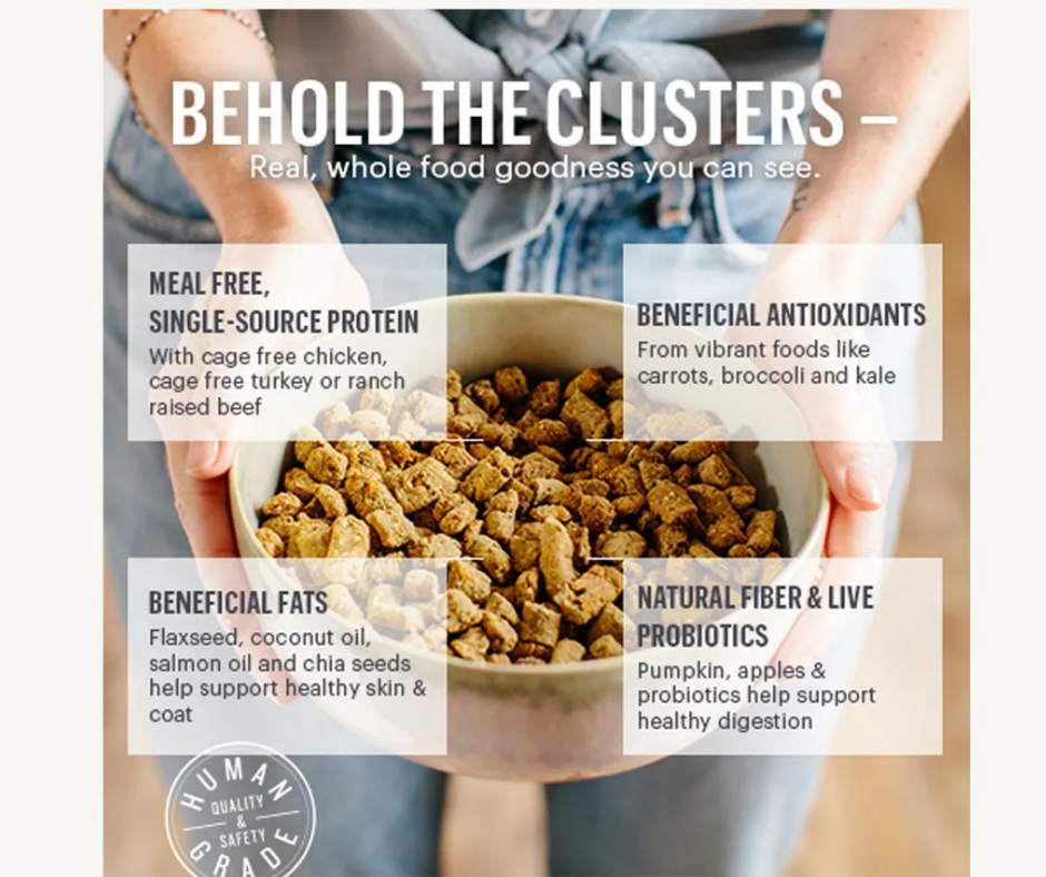 The Honest Kitchen - Whole Food Clusters Grain Free Turkey Dry Dog Food-Southern Agriculture
