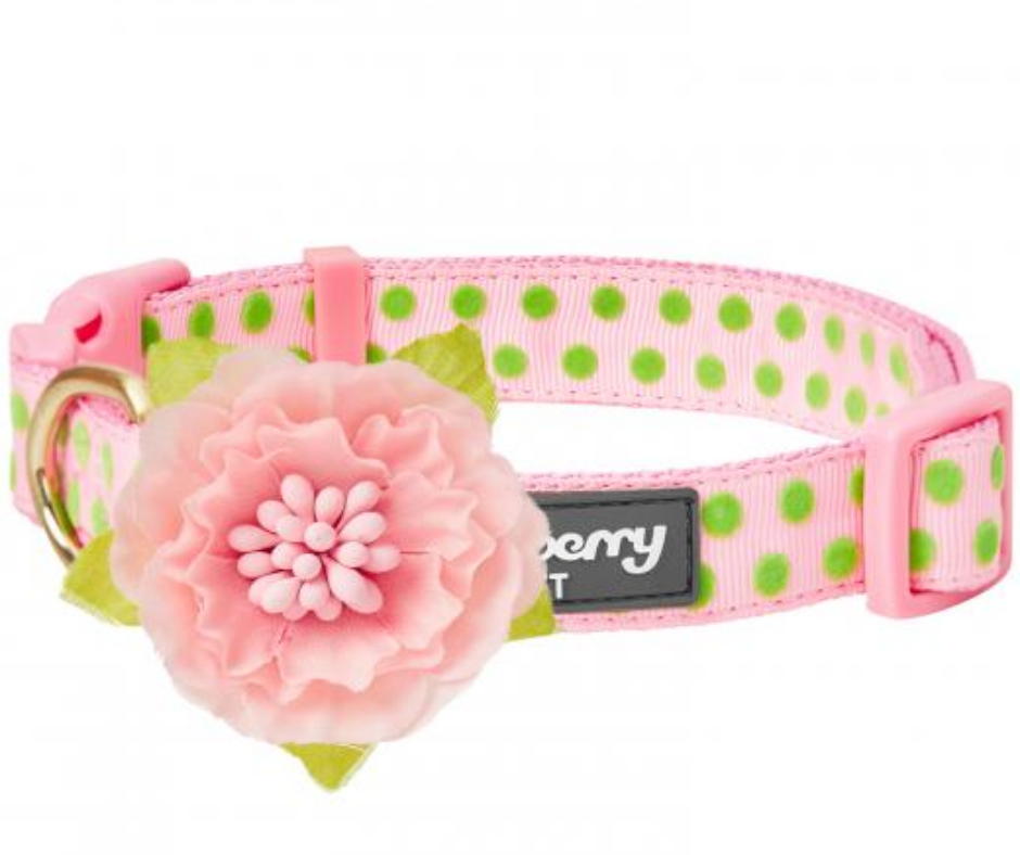 Pink With Green Polka Dot Flocking with Flower Dog Collar-Southern Agriculture