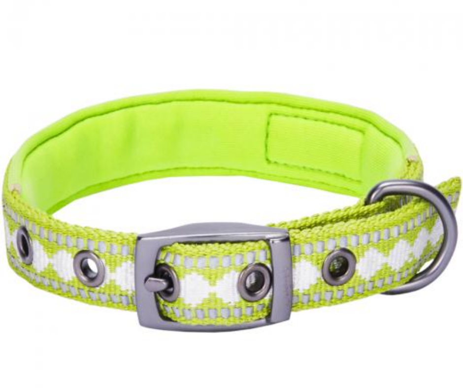 3M Reflective Padded Jacquard Dog Collar Macaw Green-Southern Agriculture