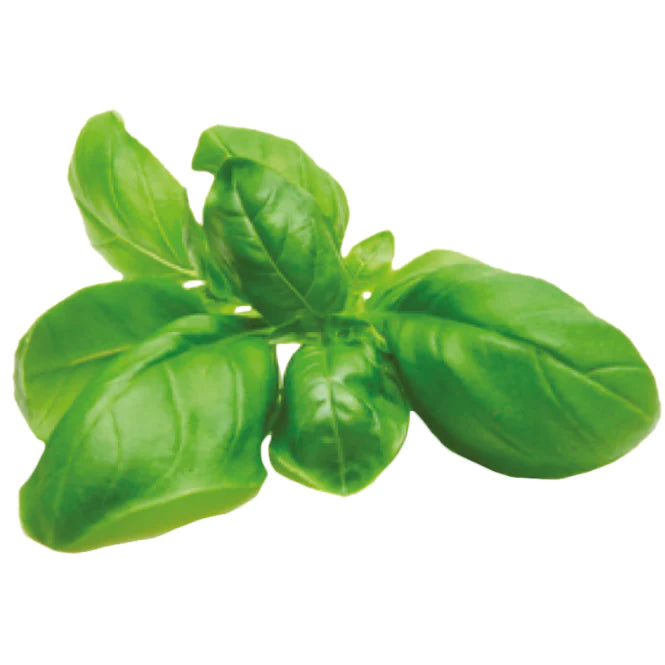 Sprigbox - Basil Grow Kit - Southern Agriculture 