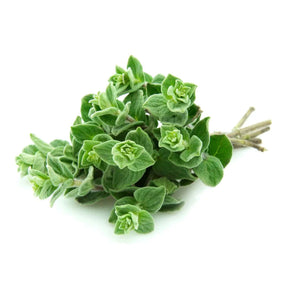 Sprigbox - Oregano Grow Kit - Southern Agriculture 