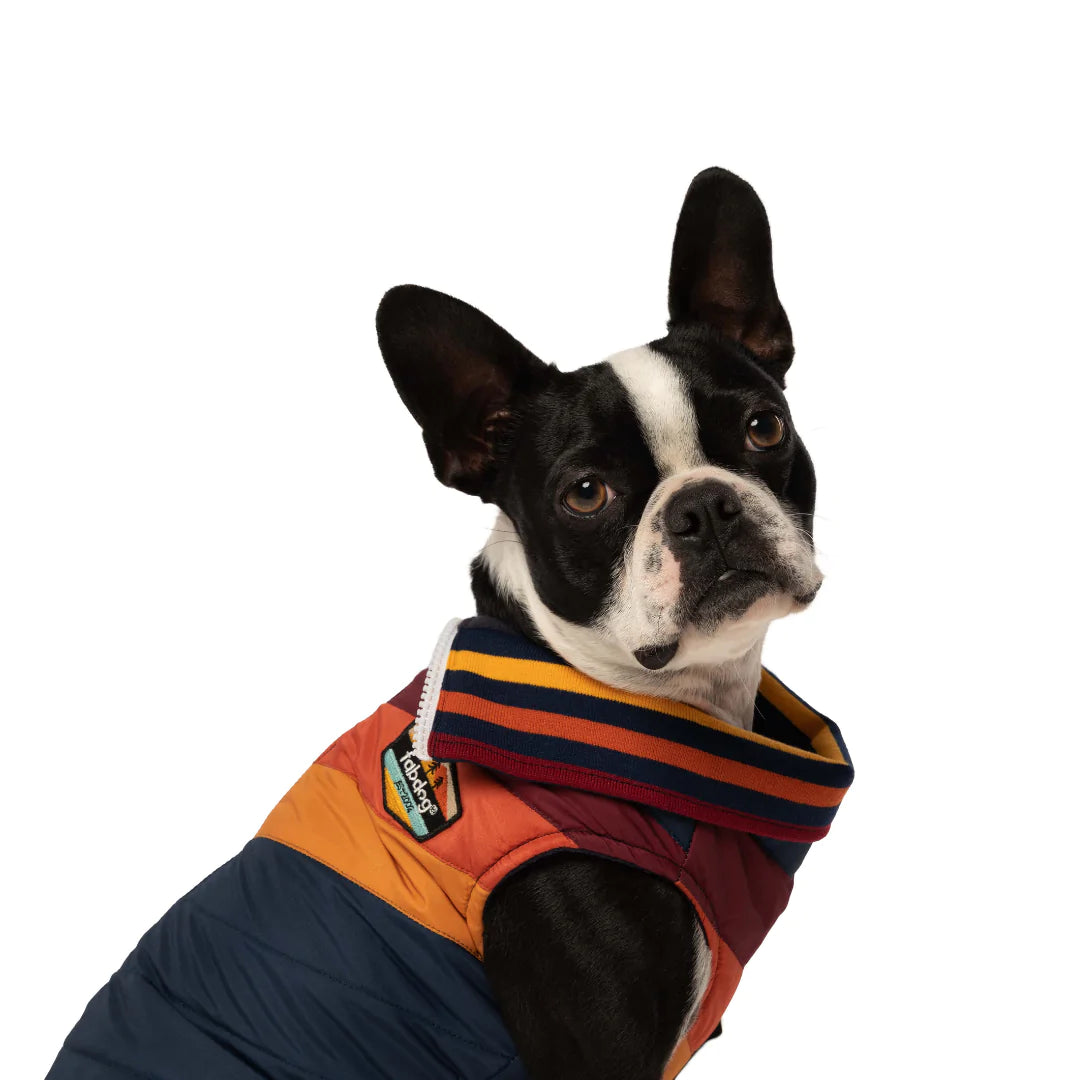 fabdog - Dog Coat Navy Chevron