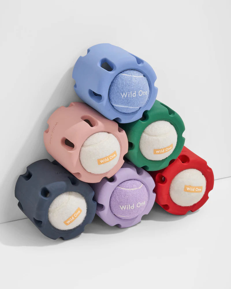 Wild One - Toy Tennis Tumbler
