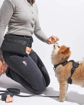 Wild One - Treat Pouch Recycled Knit
