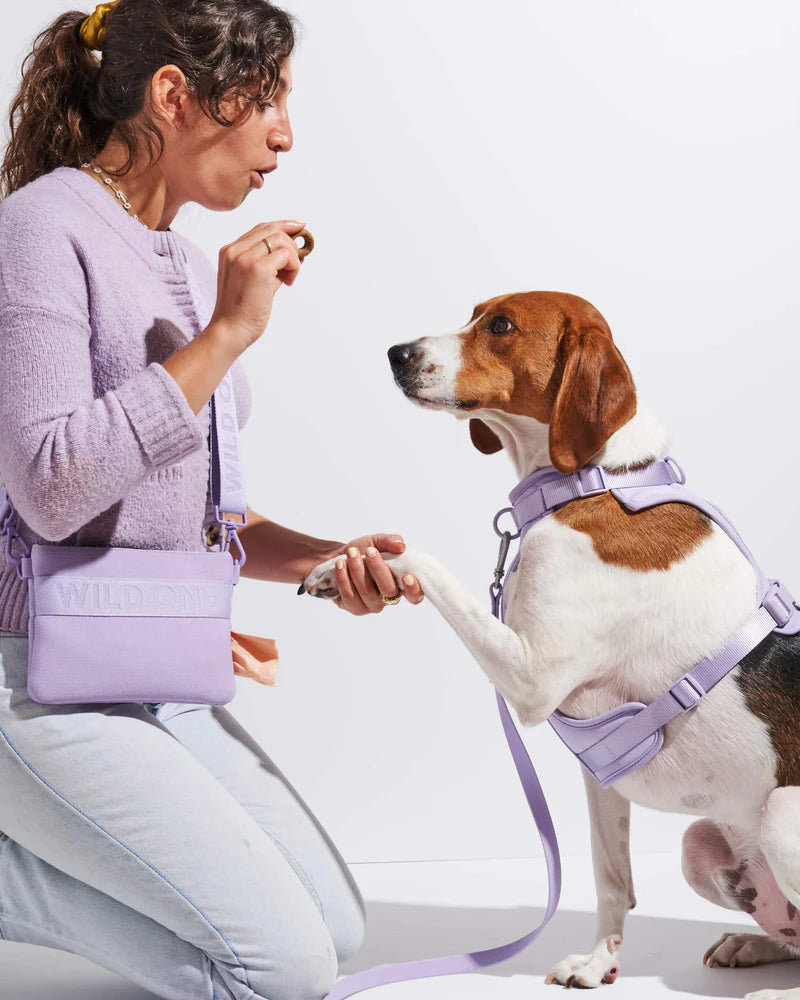 Wild One - Treat Pouch Recycled Knit