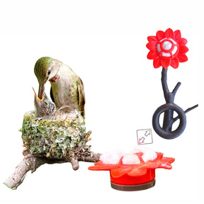 Quackups - Hummingbird Home w/Nesting Fiber & Ring red Flower - Southern Agriculture 