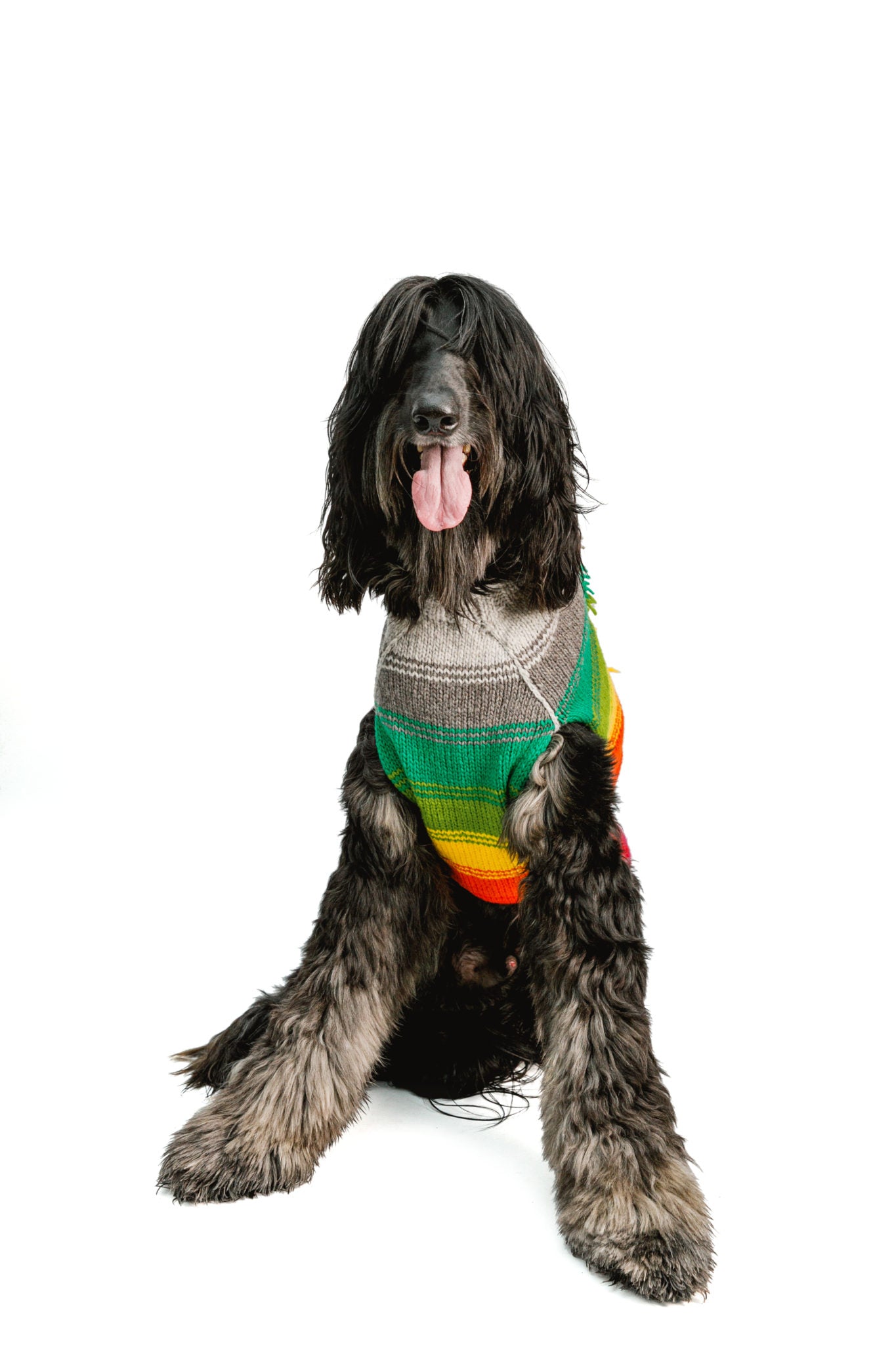 Chilly Dog - Dog Sweater Rainbow Mohawk