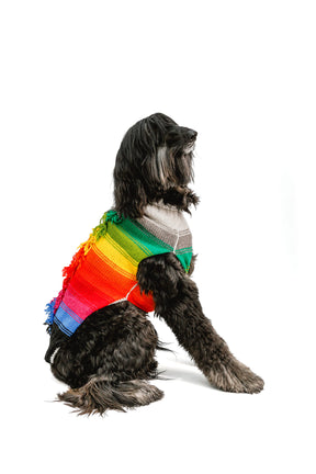 Chilly Dog - Dog Sweater Rainbow Mohawk
