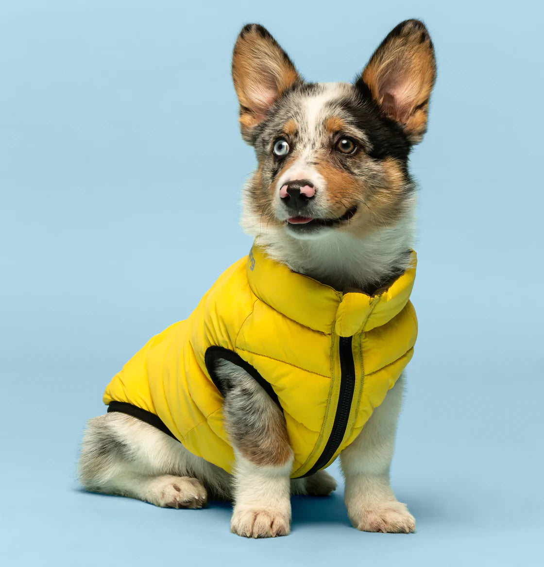 Fabdog Combo Pack N' Go Reversible Dog Puffer Yellow/Grey - Southern Agriculture 